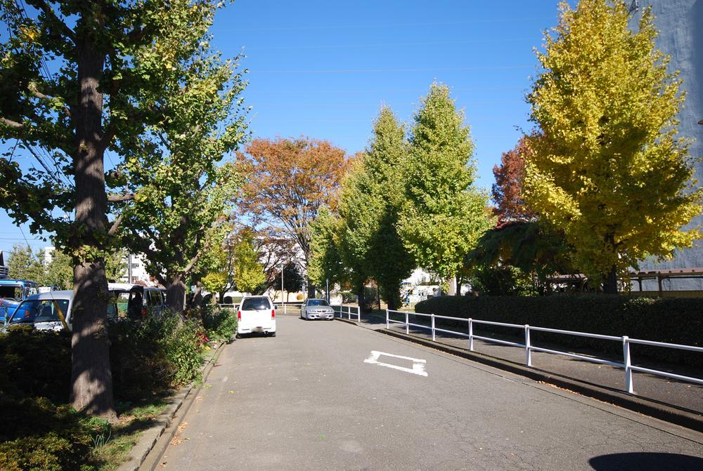 Other local. Front road (November 2013) Shooting