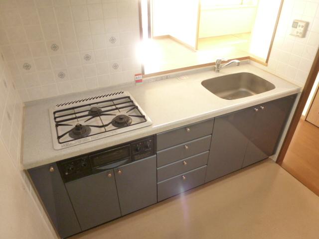 Kitchen. Local (12 May 2013) Shooting