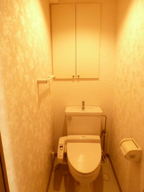 Toilet. Indoor (12 May 2013) Shooting