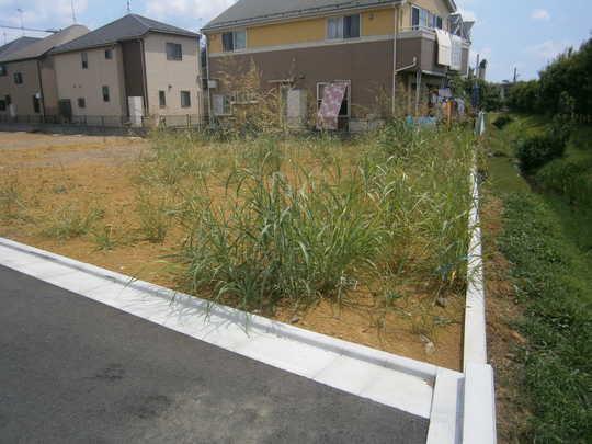 Local appearance photo. Local Photos