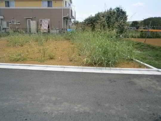 Local appearance photo. Local Photos