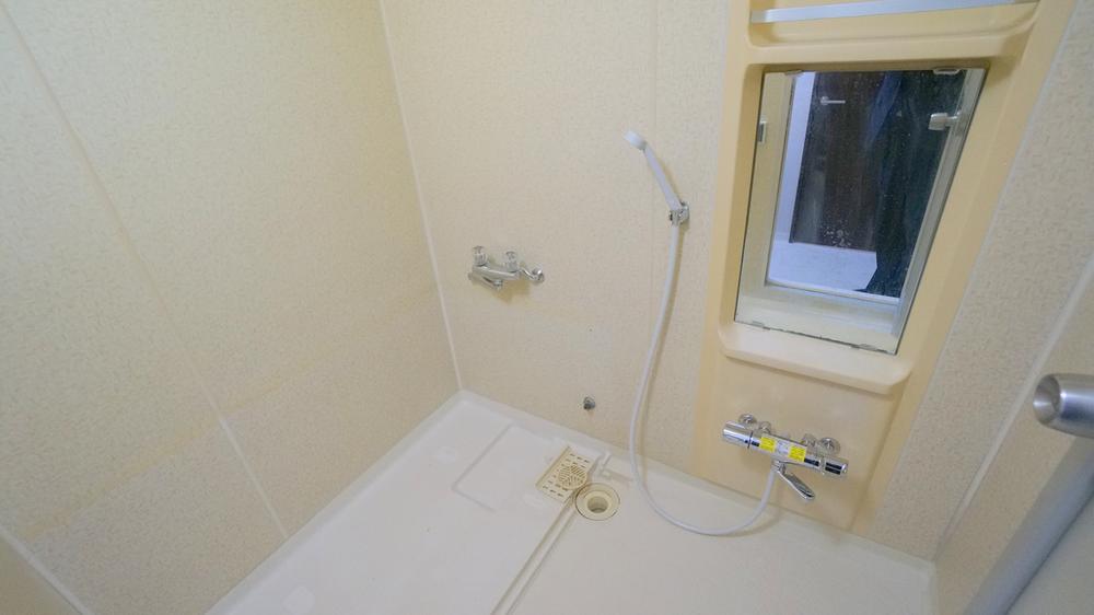 Bathroom. Bathroom (reform plan)