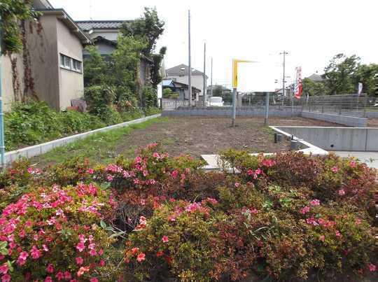 Local land photo. Local Photos