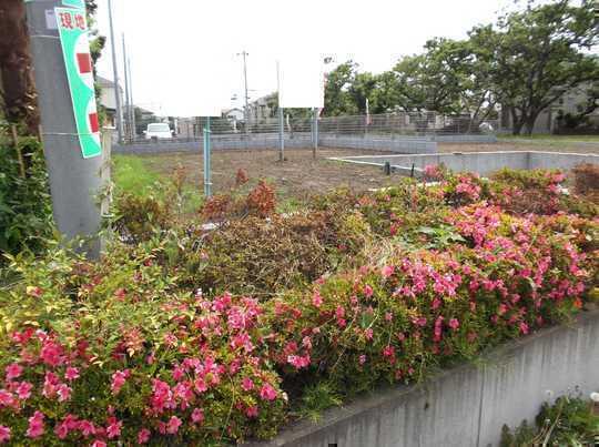 Local land photo. Local Photos