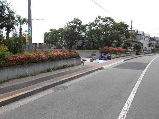 Local photos, including front road. Frontal road