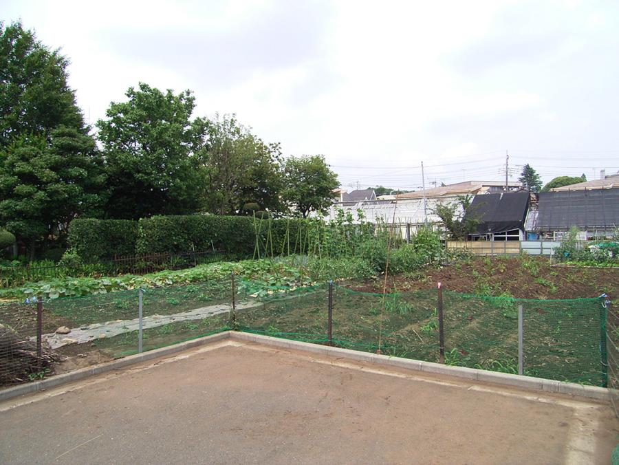 Local land photo. Local (July 2013) Shooting