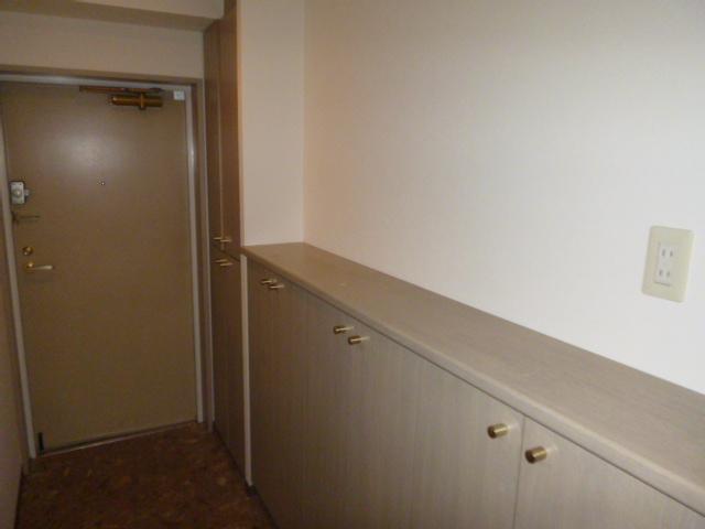 Entrance. It is a compartment with a storage capacity.