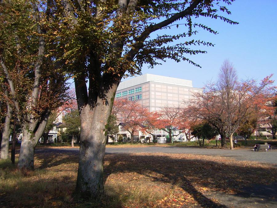 Other. - Northern Cultural Park -