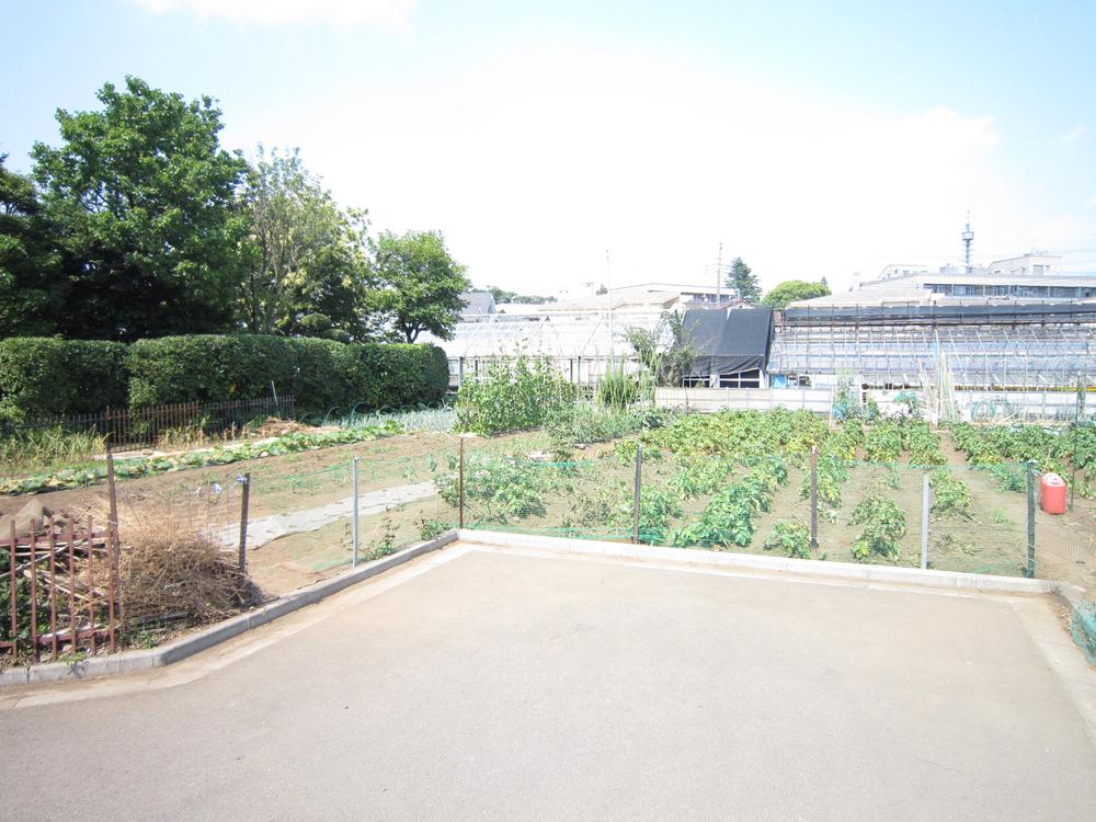 Local photos, including front road. Local (June 2013) Shooting