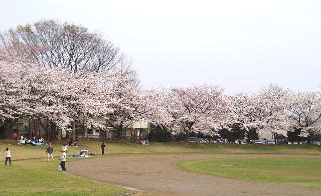 park. 500m to Showa Park