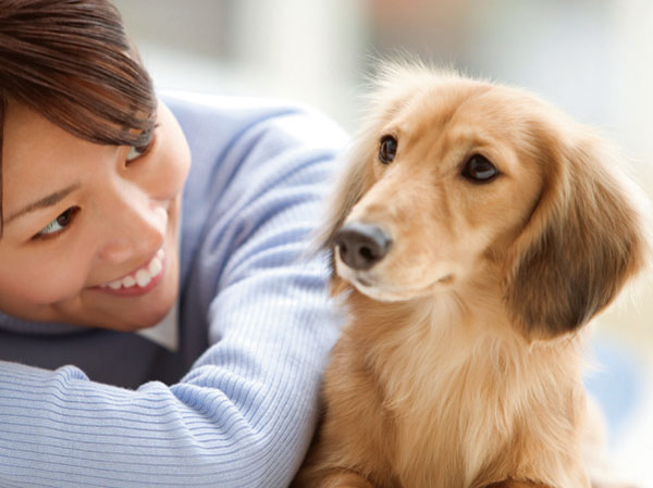 Other.  [Pet Friendly] Can you live with a pet as a member of an important family.  ※ The breeding of pet will be asked to adhere to the management contract. type ・ size ・ There is a limit to the number of horses. The photograph is an example of a pet frog.