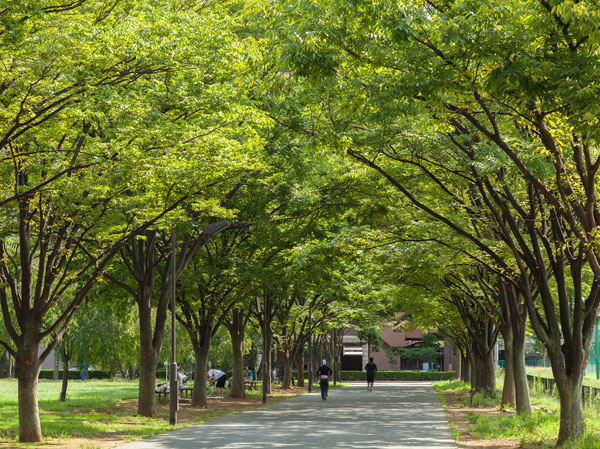 Surrounding environment. Lawn as a place of recreation and relaxation for residents Square, Empty lot, Dragonfly pond Ya, A is Sakura (weeping cherry tree) is present about 170 planting trees Arakawa, It has become a famous spring cherry blossom viewing spot in the neighboring, Guests can indulge in a four seasons various natural. (Ogu of the original park / About 540m, 7-minute walk)