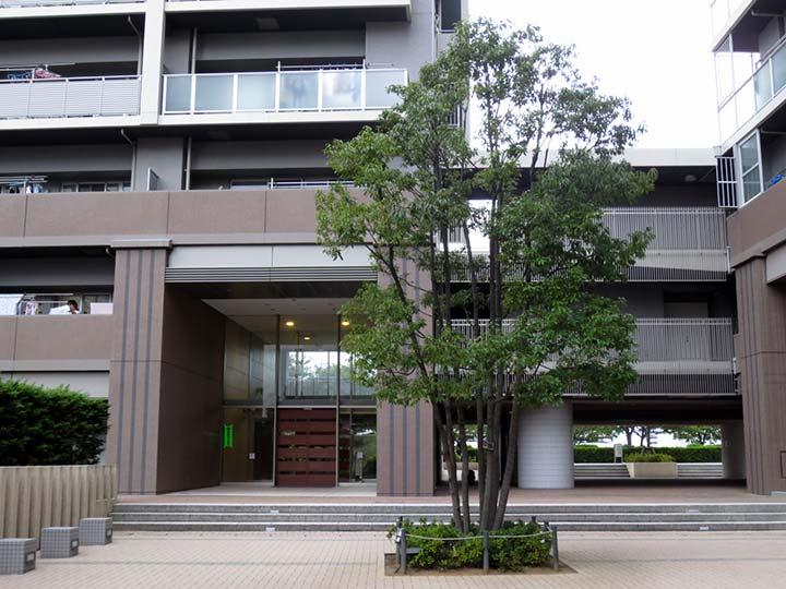 Entrance. Common areas