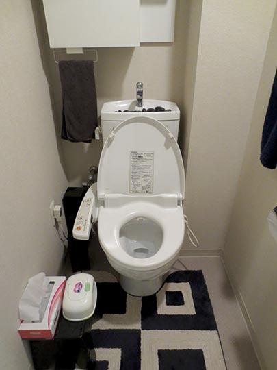 Toilet. Toilet (November 2013) Shooting