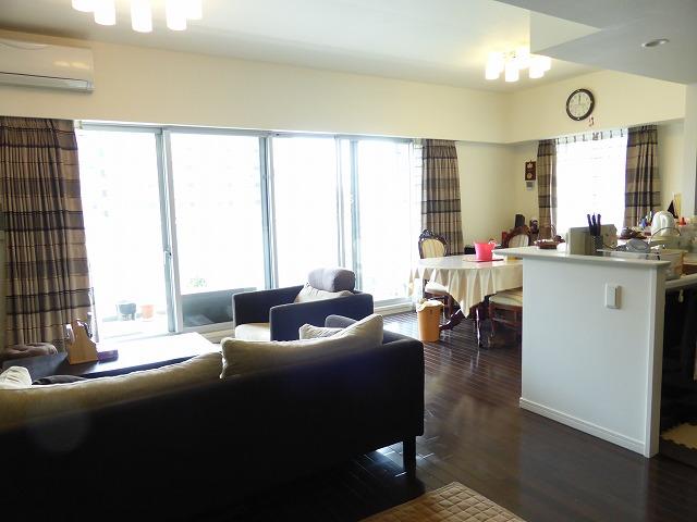 Living. Indoor (June 2013) Shooting