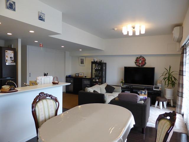 Living. Indoor (June 2013) Shooting