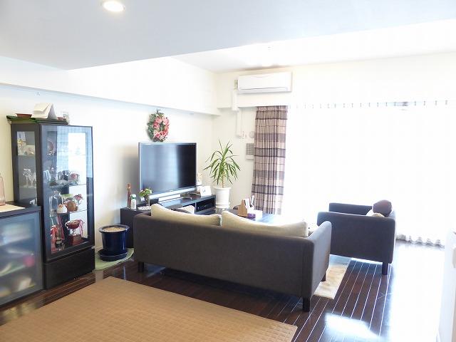 Living. Indoor (June 2013) Shooting