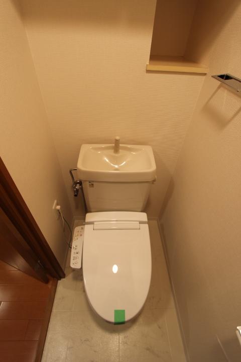 Toilet. In the shower function with toilet new replaced., Clean.