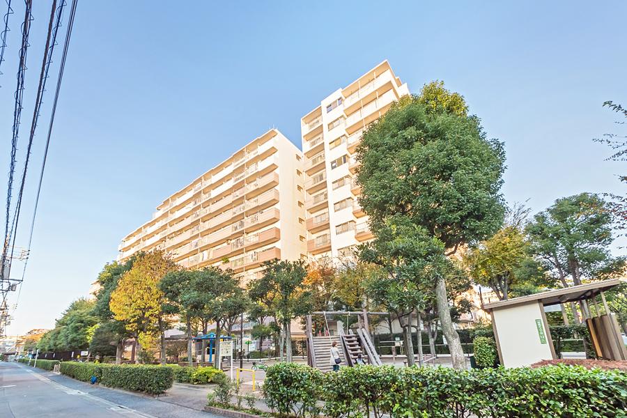 Local appearance photo