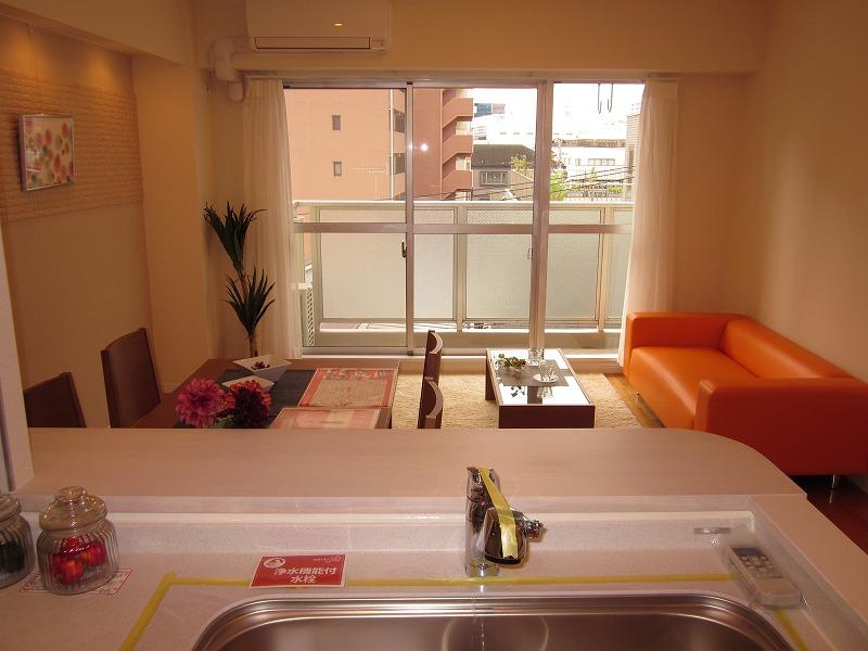 Living. Indoor (11 May 2013) Shooting View from the kitchen