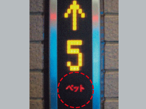 Other.  [Pets and living together] You can live with a pet that gives us peace. Since we have established a pet of foot washing facilities, Please use after your walk. In addition to the elevator, Pressing the pet button is displayed on each floor of the display panel on when you ride along with the pet, Let you know that in advance pet is riding. Pet each other ran into, Prevents or each other barking. (More than the published photograph of the same specifications)