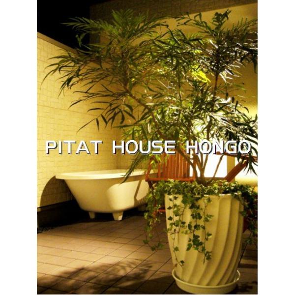 Other local. Example of construction Other site model house photo