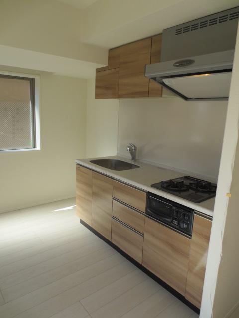 Kitchen. Indoor (11 May 2013) Shooting