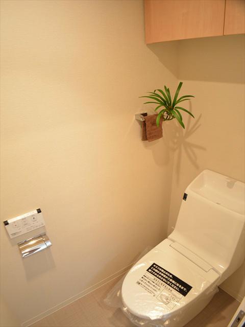 Toilet. Storage rack with toilet