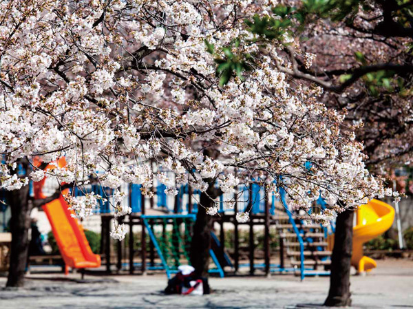 Surrounding environment. Nippori South Park (6-minute walk / About 410m)