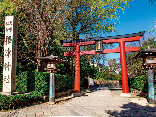 Surrounding environment. Nezu Shrine (bicycle about 9 minutes / About 2030m)