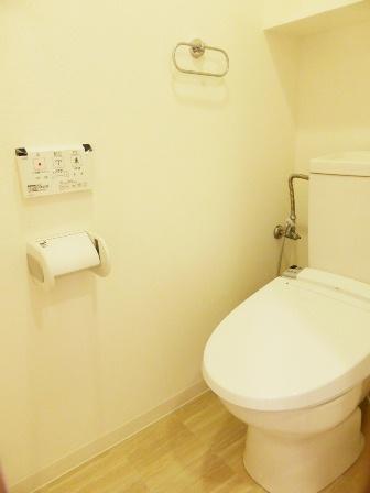 Toilet. With hot water cleaning function