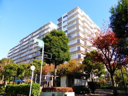 Local appearance photo. Local (12 May 2013) Shooting