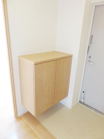 Entrance. Footwear entrance with input