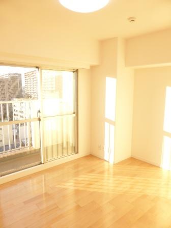 Other. Western-style 5.2 Pledge