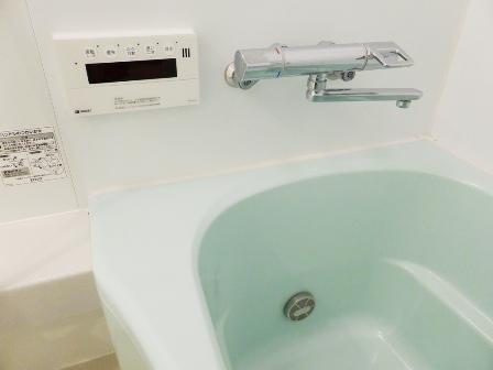 Bathroom. With add-fired function