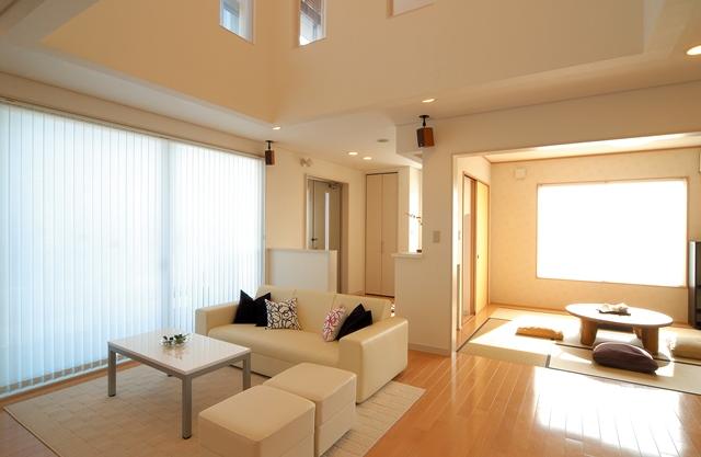 Living. Construction example photo