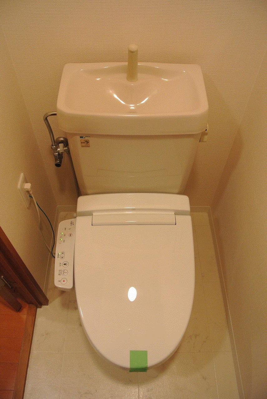Toilet. Washlet toilet