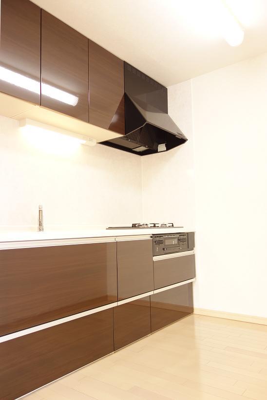 Kitchen. Indoor (12 May 2013) Shooting