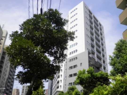 Local appearance photo. appearance