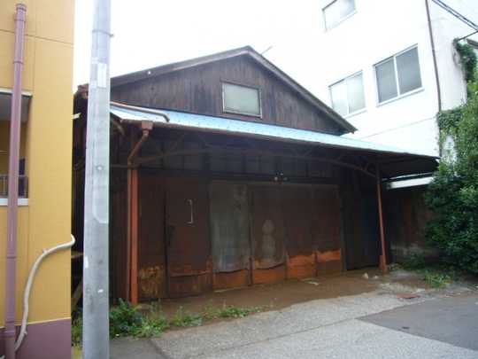 Local land photo. Appearance 1