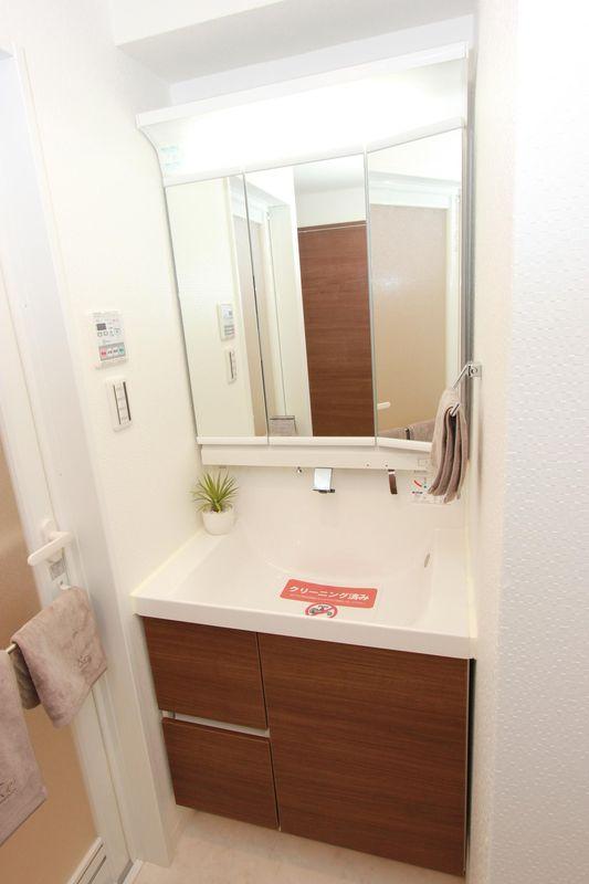 Wash basin, toilet. Bathroom vanity