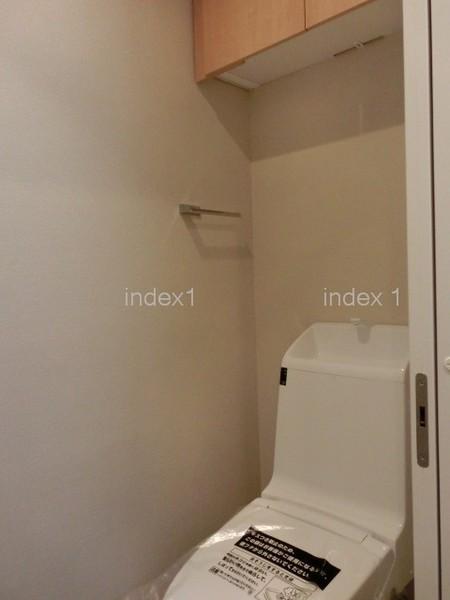 Toilet. Happy with Washlet!