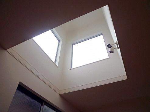 Other introspection. Atrium