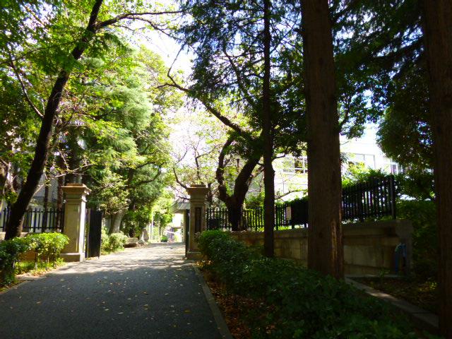 Primary school. Municipal 205m to the third junior high school