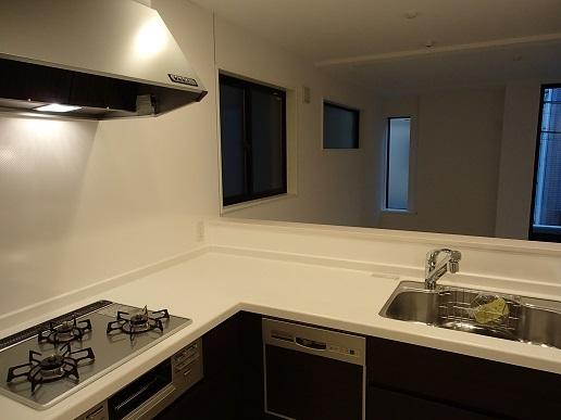 Kitchen. Indoor (12 May 2013) Shooting