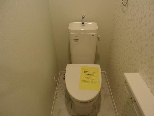 Toilet. Indoor (12 May 2013) Shooting