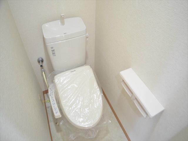 Toilet. Washlet with
