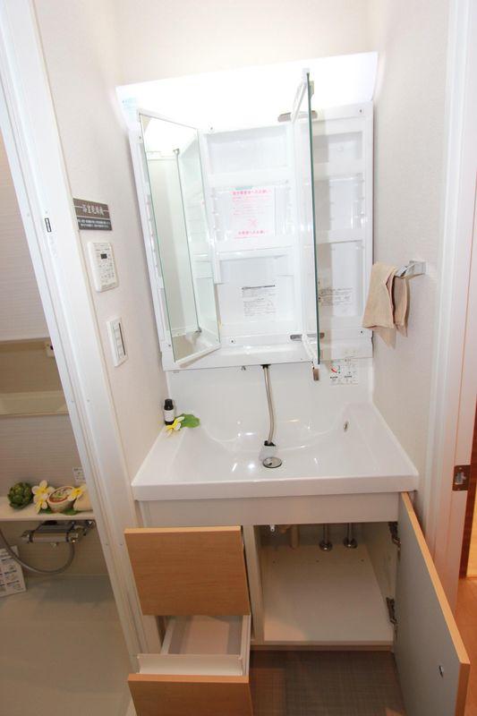 Wash basin, toilet. Vanity with shampoo for the shower faucet