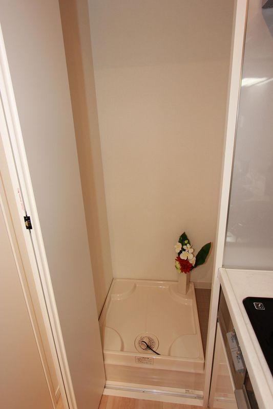 Other introspection. Washing machine Storage