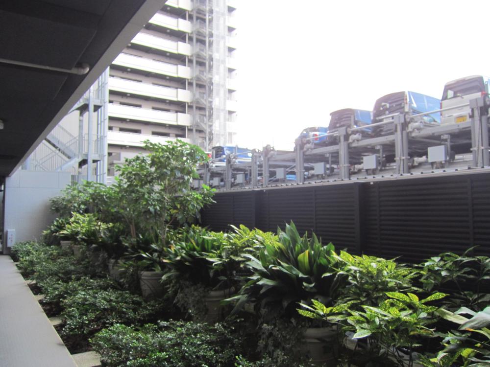 Parking lot. Common areas